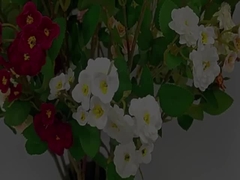 گل رز شبیه سازی شده مرز متقابل چند سر شبیه سازی گل گل مصنوعی گلدان عروسی تزئینات