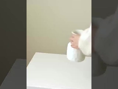 شبیه سازی ۸ عدد کوچک، تقلید از میوه های واقعی و جعلی، تزئینات خانگی، عروسی،