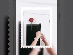 بوکت های کوچک با بسته بندی شفاف و ضد آب