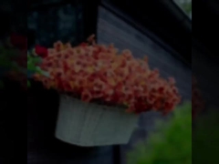 تزئینات فستیوالهای بیرونی، گیاهان پاییز، برگ های مصنوعی یوکالیپتوس، بنفش های یوکالیپتوس، مارپیچ