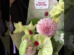 مفهوم هنری مجموعه نقاشی روغن آرایش گل کاغذ بسته بندی گل