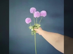 گل رز سفارشی شباهت عروسی قرمز گل آسمان ستاره ای هوردنژیا گاردنژ گل رز لاوانجر دندون