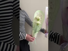 گل های تک بسته، گل گل، هدیه روز ولنتاین و روز معلم برای بهترین ها