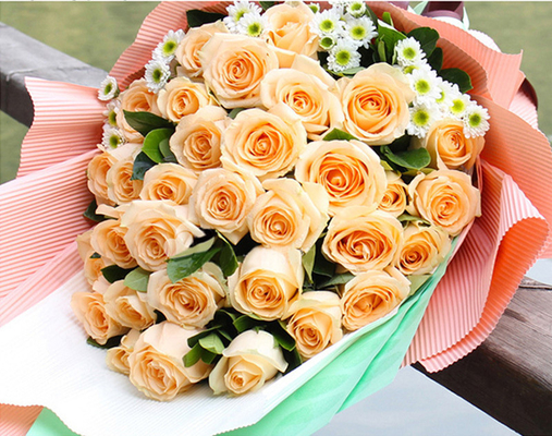 قیمت خوب کاغذ راه راه رنگی ساده 50cmx70cm غیر ضد آب برای بسته بندی گل آنلاین