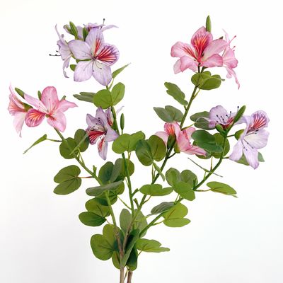 خرید گل Bauhinia مصنوعی چینی Redbud پلاستیکی برای دکوراسیون خانه و هتل تولید آنلاین