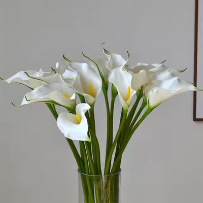 خرید گل های مصنوعی EVA با کیفیت بالا گل های مصنوعی گل های مصنوعی گل های مصنوعی گل های مصنوعی گل های مصنوعی گل های مصنوعی گل های مصنوعی گل های مصنوعی گل های مصنوعی گل های مصنوعی گل های مصنوعی گل های مصنوعی گل های مصنوعی گل های مصنوعی گل های مصنوعی گل های مصنوعی گل های مصنوعی گل های مصنوعی گل های مصنوعی گل های مصنوعی گل های مصنوعی گل های مصنوعی گل های مصنوعی گل های مصنوعی گل های مصنوعی گل های مصنوعی گل های مصنوعی گل های سفید گل های سفید گل های سفید گل های سفید گل های سفید گل های سفید گل های سفید گل های تولید آنلاین