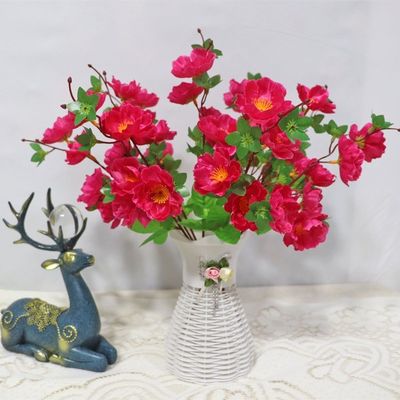 خرید عروسی، لوازم عکاسی، تزئینات داخلی و خارجی با گل هلو واقعی تولید آنلاین