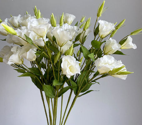 قیمت خوب 3 تکه از گل های شبیه سازی شده کامپانولا، تزئینات خانه، گل های ابریشم، لوازم عکاسی، راهنمای جاده عروسی، مناظر، گلدان های گل های جعلی آنلاین