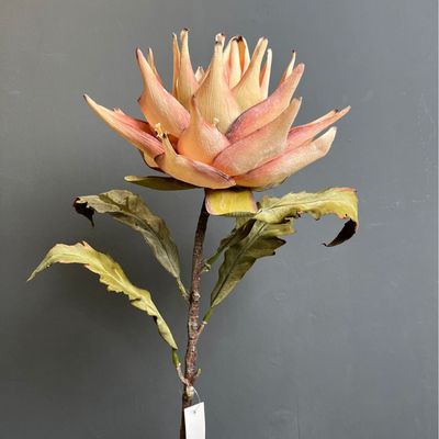 قیمت خوب گل شبیه سازی شده طراحان طراحان طراحان طراحان طراحان طراحان طراحان آنلاین