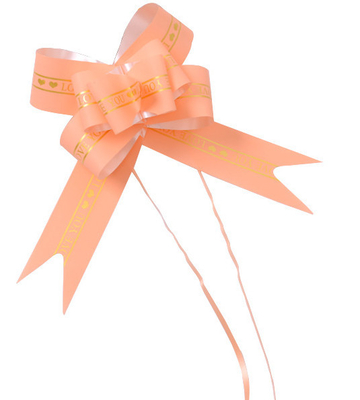 قیمت خوب روبان پاپیونی چاپی Love You Hampers Gift Organza 5cm x 75cm آنلاین