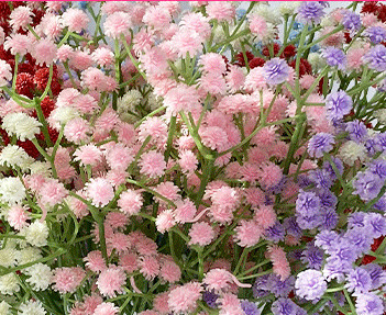 قیمت خوب چسب نرم گیاهان دیواری تقلبی رنگ های مختلف برای دکوراسیون منزل آنلاین
