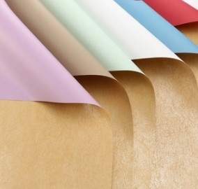 قیمت خوب کاغذ سینتیا پلمن گل بسته بندی کاغذ آنلاین