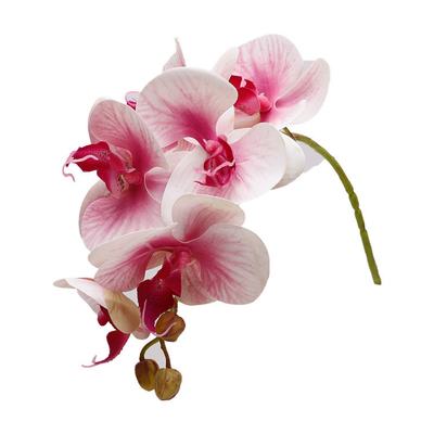 قیمت خوب شبیه سازی پلاستیکی تزئینات عروسی 3D پروانه، لوازم جانبی برگ، گل های جعلی، بسته های کوچک گل، گل های شبیه سازی پروانه آنلاین