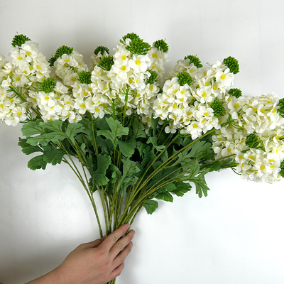 قیمت خوب گل های شبیه سازی شده کلم، گل های جعلی، گل های ابریشم، عروسی هتل، راهنمای مسیر گل، دکوراسیون عروسی، مبلمان خانگی، لوازم عکاسی آنلاین