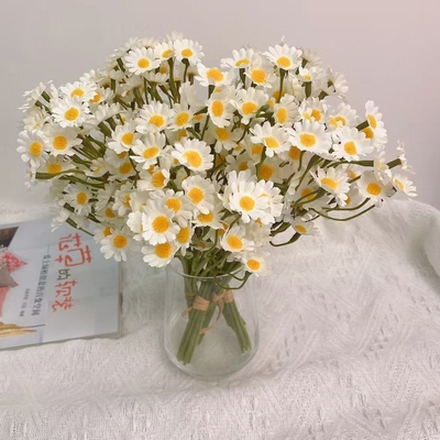 قیمت خوب عمده فروشی از تولید کننده گلدان های گل مصنوعی، گلدان های کوچک، گل های مصنوعی، دکوراسیون اتاق نشیمن، گل های میز و گلدان های تزئینی آنلاین