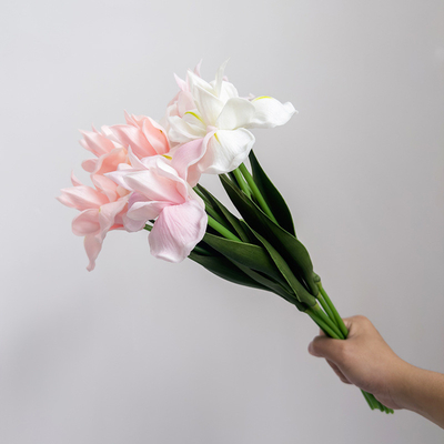 قیمت خوب گل های شبیه سازی شده، ماده ایلیس PU، تزئینات گل های آیریس، مبلمان، گل های جعلی، تجارت خارجی، آرایش گل، احساس دست، گلدان تیراندازی آنلاین