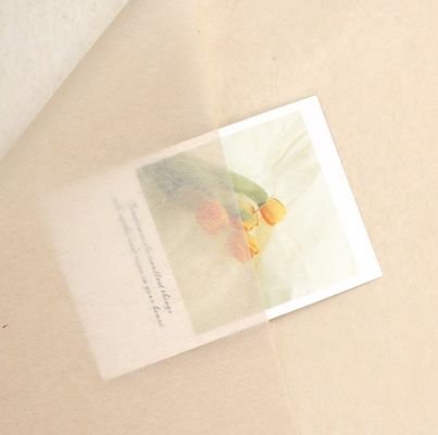 قیمت خوب Effortlessly Elegant Korean-Style Copy Paper for Flower Wrapping and Gift Packaging آنلاین