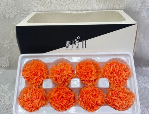 قیمت خوب گل های ابدی گوزنی، 8 قطعه مواد DIY عمده فروشی، هدیه برتر برای روز مادر، گل گل خشک شده آنلاین